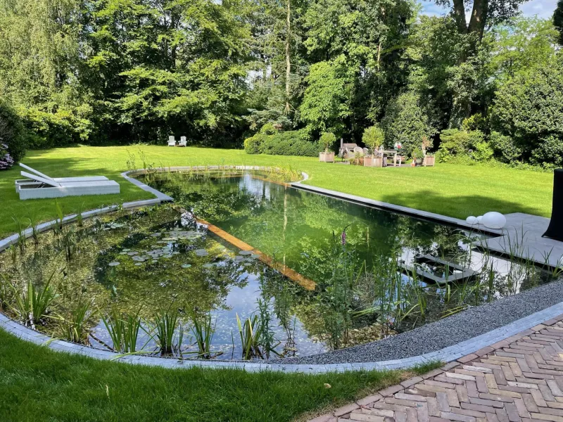 Natuurlijke zwemvijver in Laren