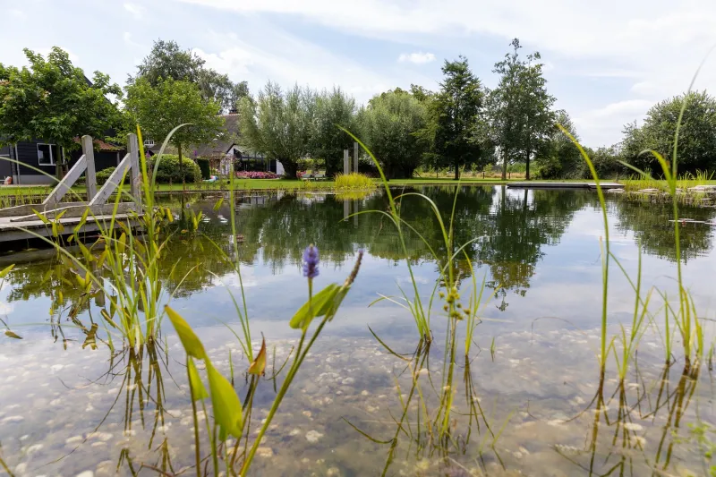 Natuurlijke zwemvijver met strandje en stapstenen