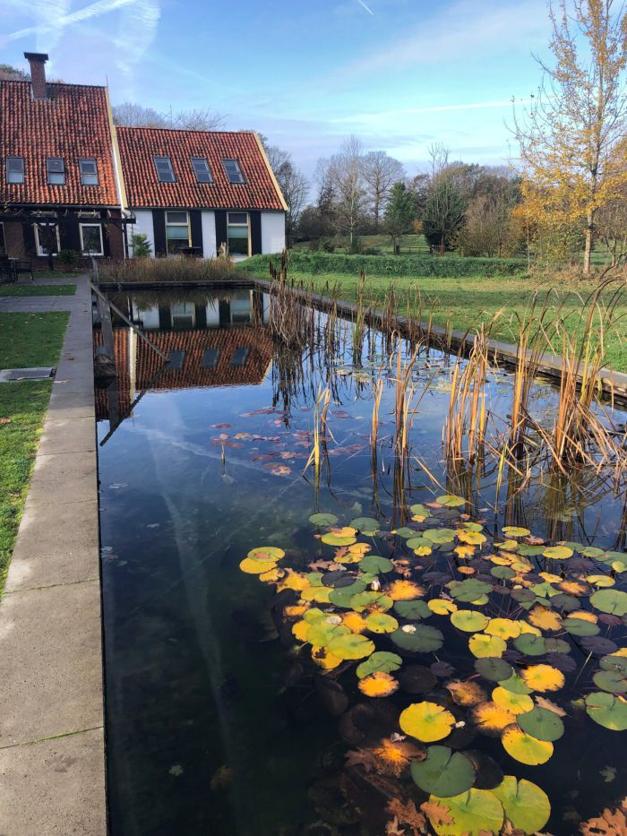 Damink-tuin-en-landschap-afbeelding-1-1536x2048