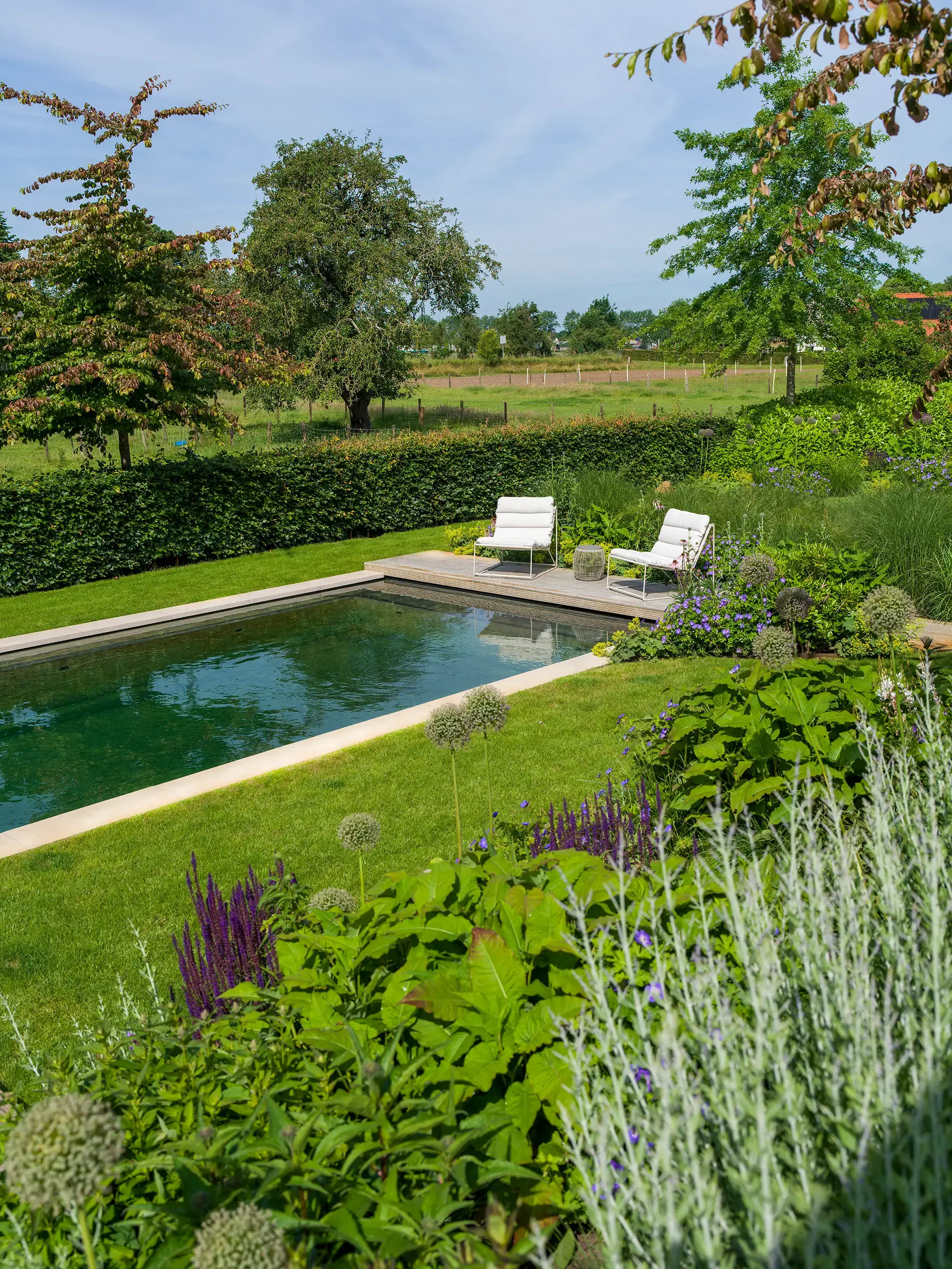 Natuurzwembad-gardenSwimm-Ijsselmuiden-9