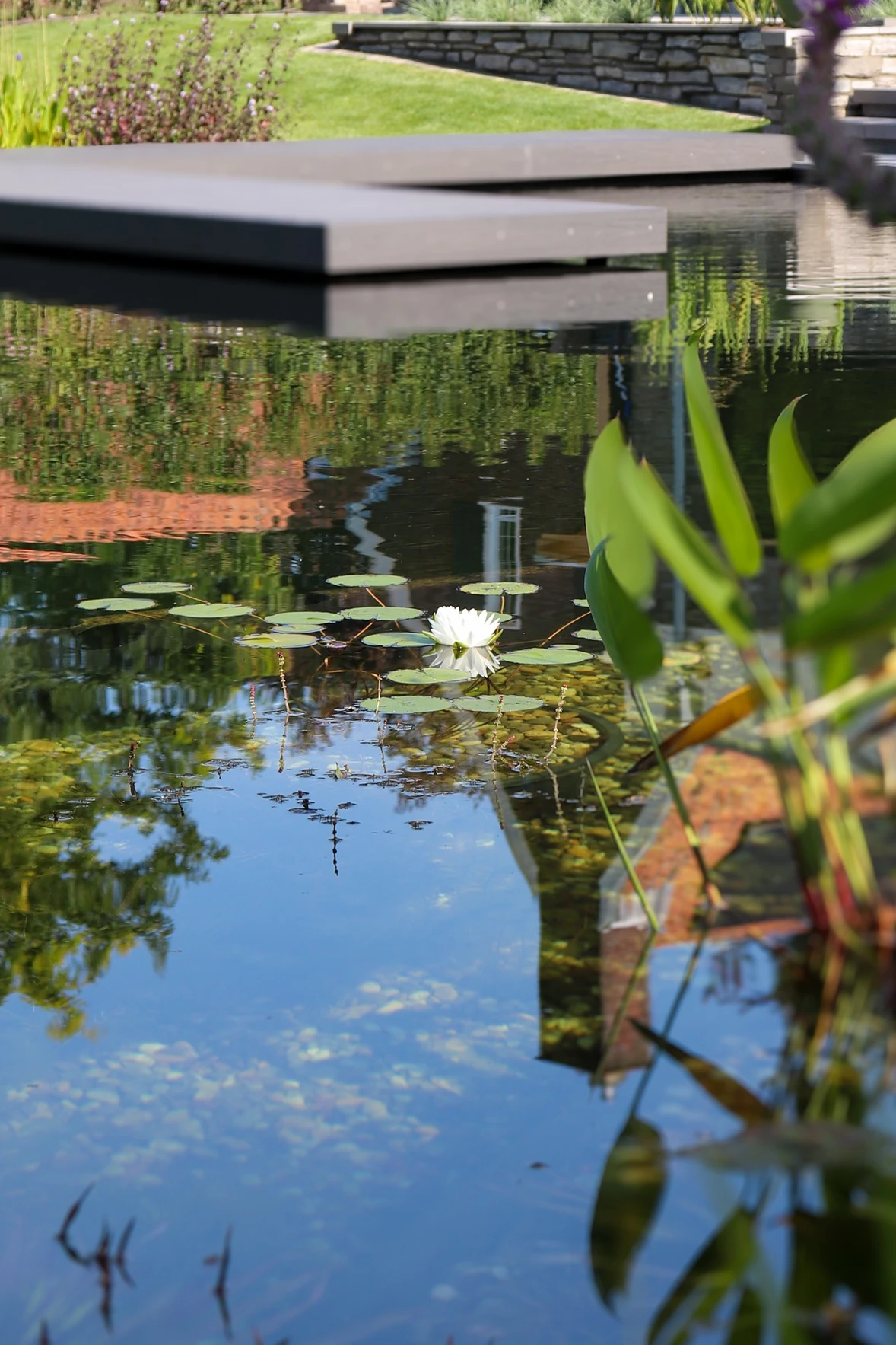 VLRH_zwemvijverwedstijd-03