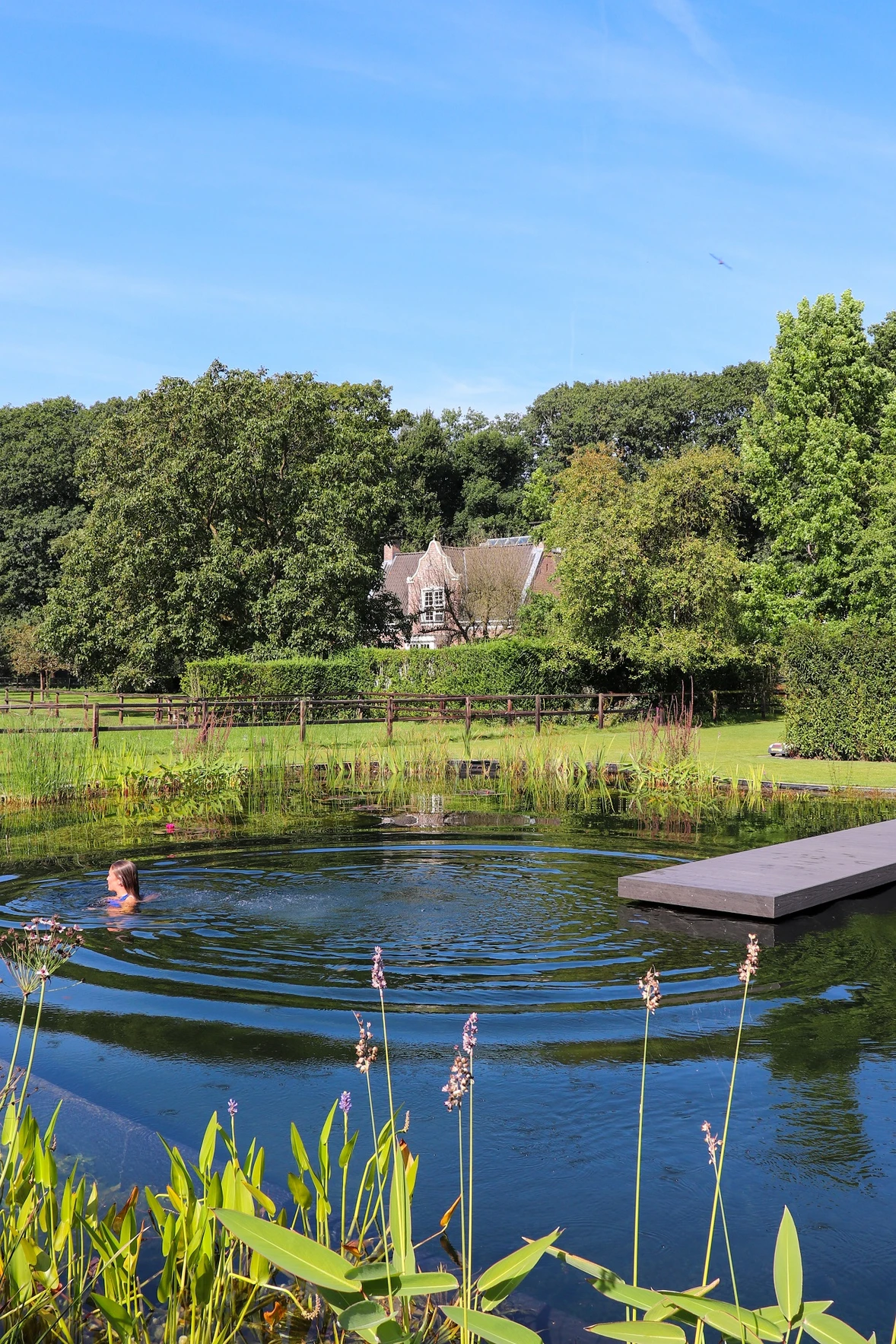 VLRH_zwemvijverwedstijd-04