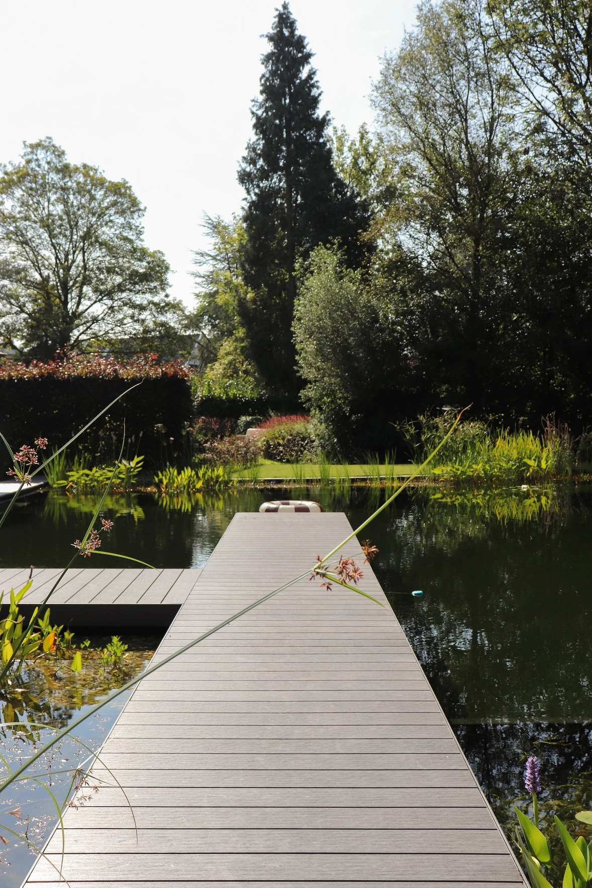 VLRH_zwemvijverwedstijd-21