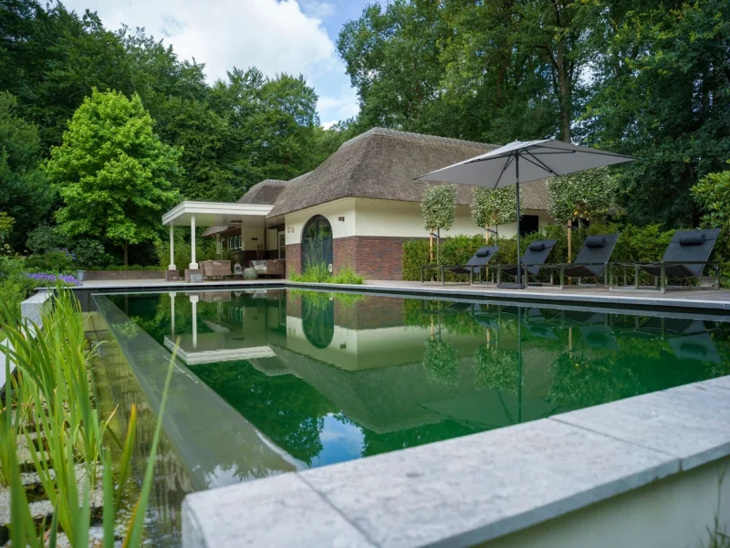 Strakke zwemvijver bij woning met rieten dak en groen terras