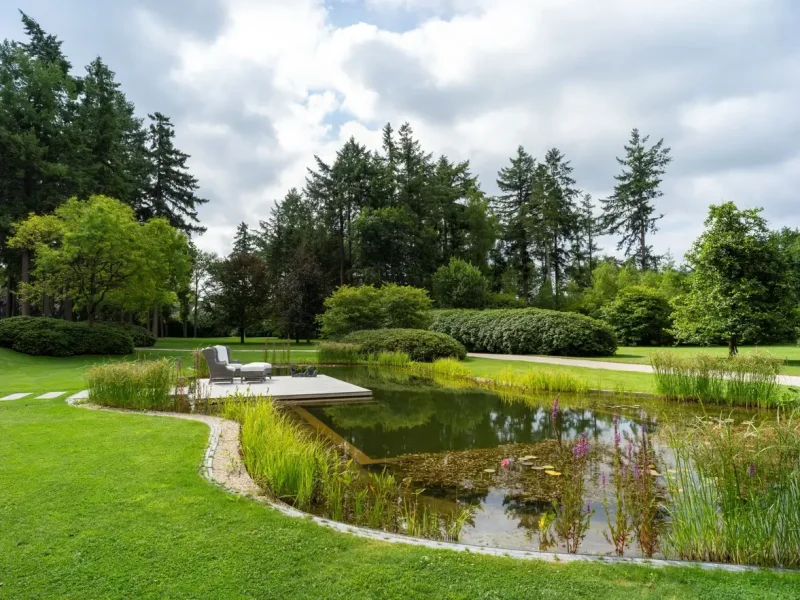 Natuurlijke zwemvijver met waterplanten en houten vlonder in parkachtige tuin