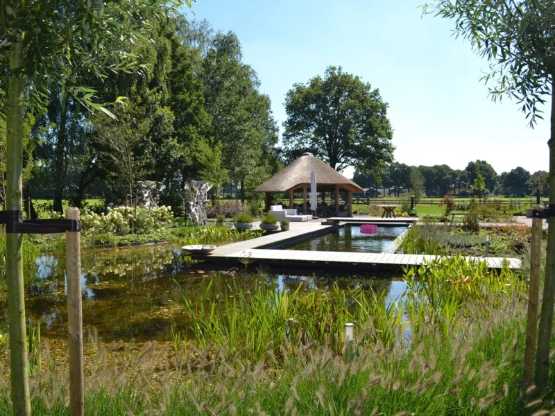 Natuurlijke zwemvijver met houten vlonder en waterplanten