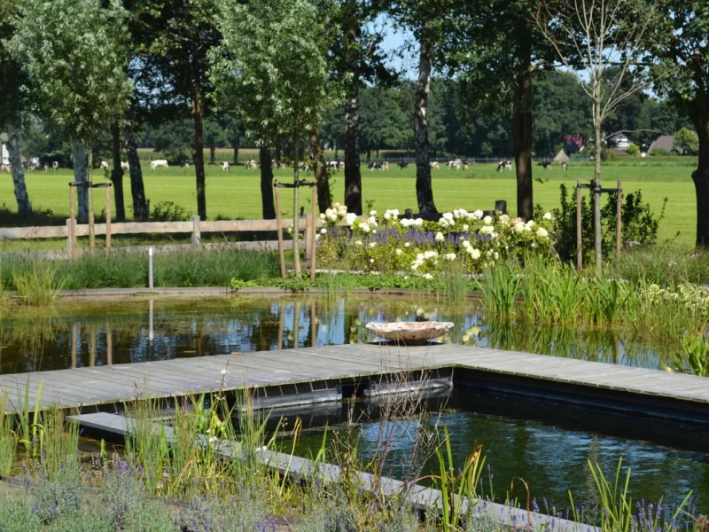 Natuurlijke zwemvijver met houten vlonder en waterplanten in landelijke tuin