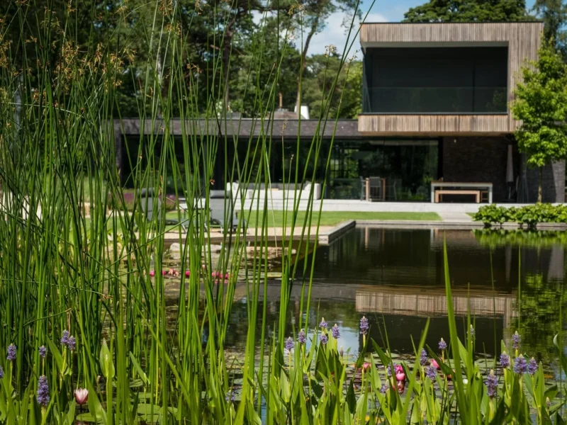 Natuurlijke zwemvijver met waterplanten bij een moderne woning