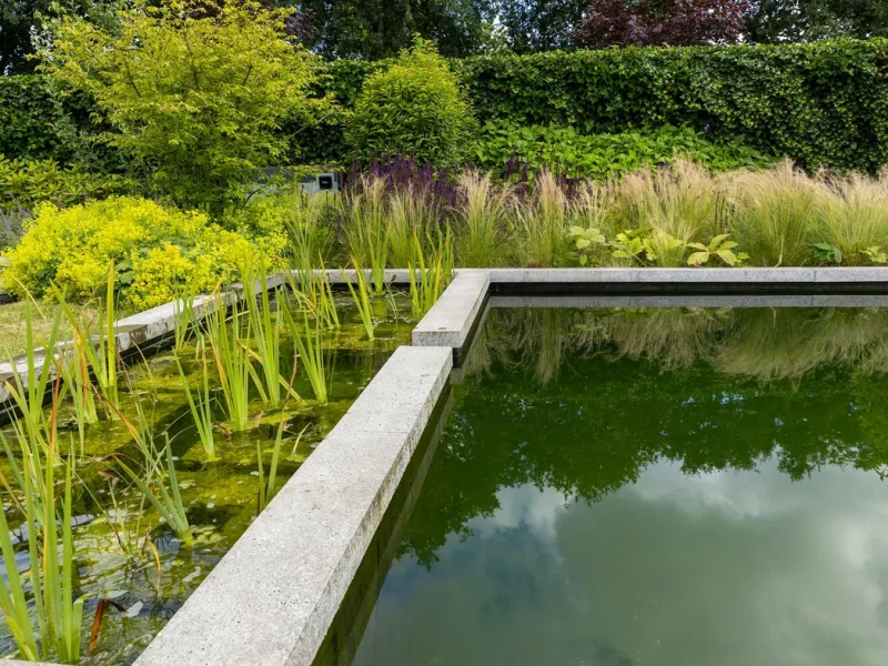 Natuurlijke zwemvijver met plantenfilter en siergrassen