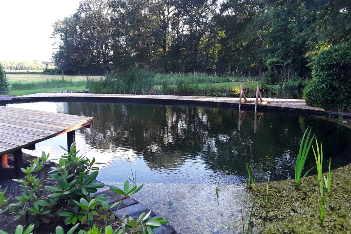 gardenswimm-natuurlijke-zwemvijver-horn-1-scaled-1200x800