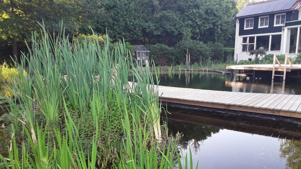 natuurlijke-zwemvijver-in-horn-1536x864