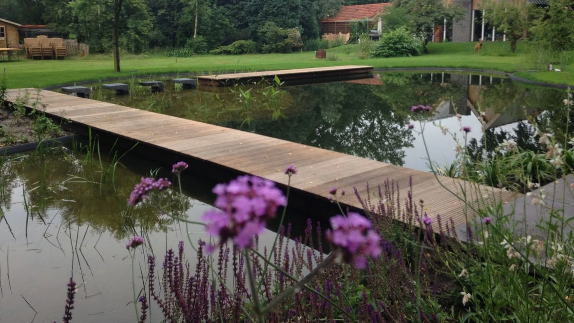 natuurlijke-zwemvijver-nijeholtpade-header