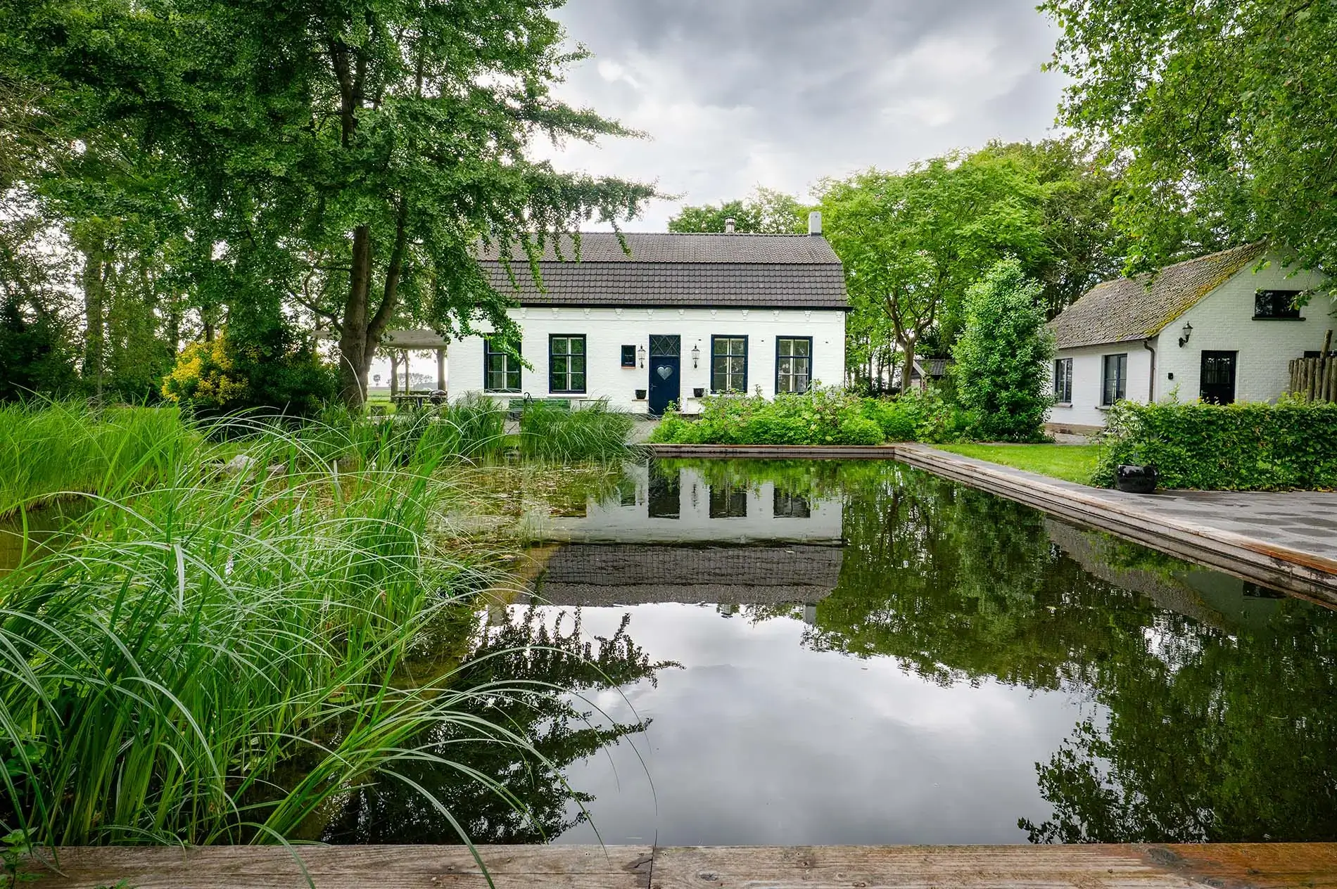 zwemvijver-gardenSwimm-zeeland-3