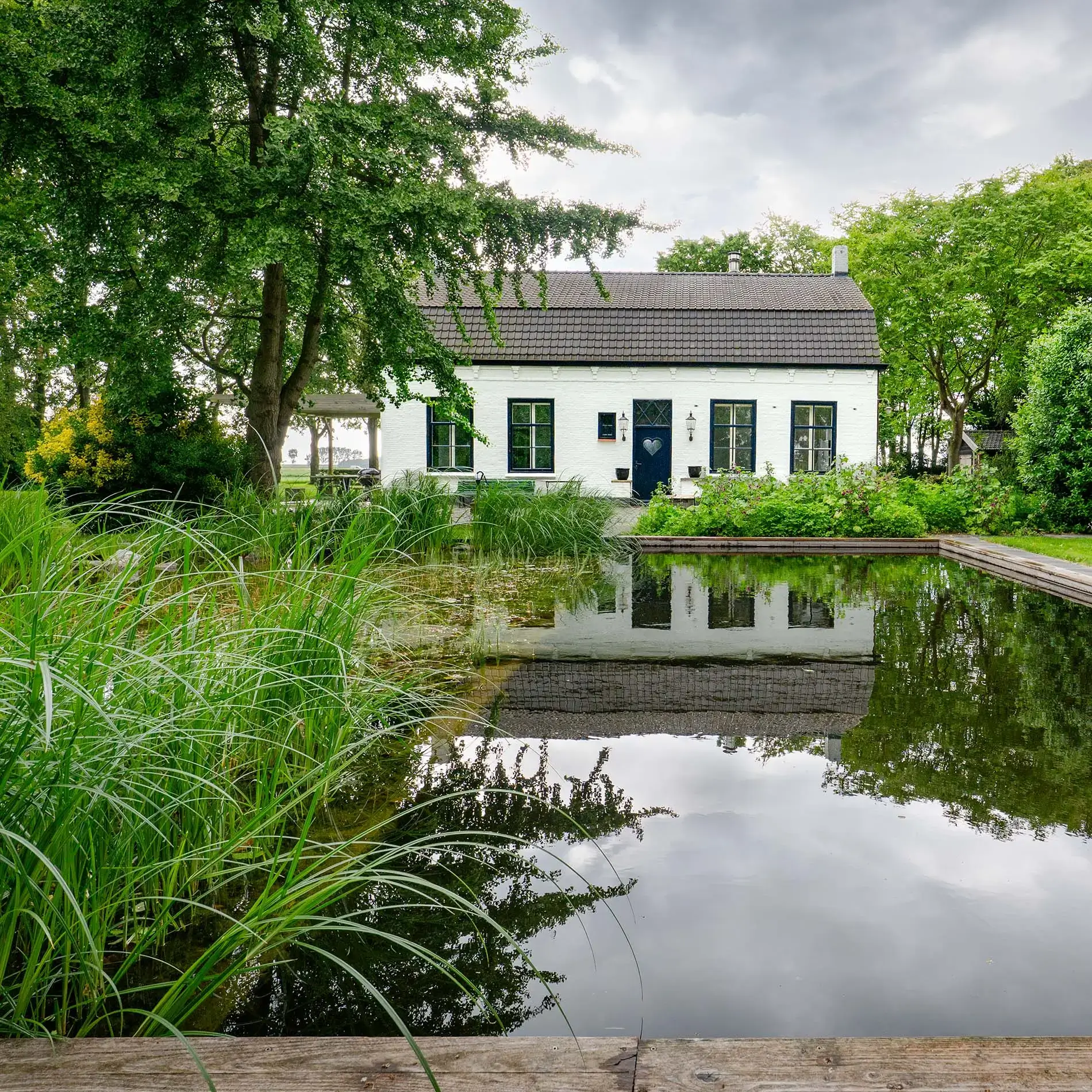 zwemvijver-gardenSwimm-zeeland-4