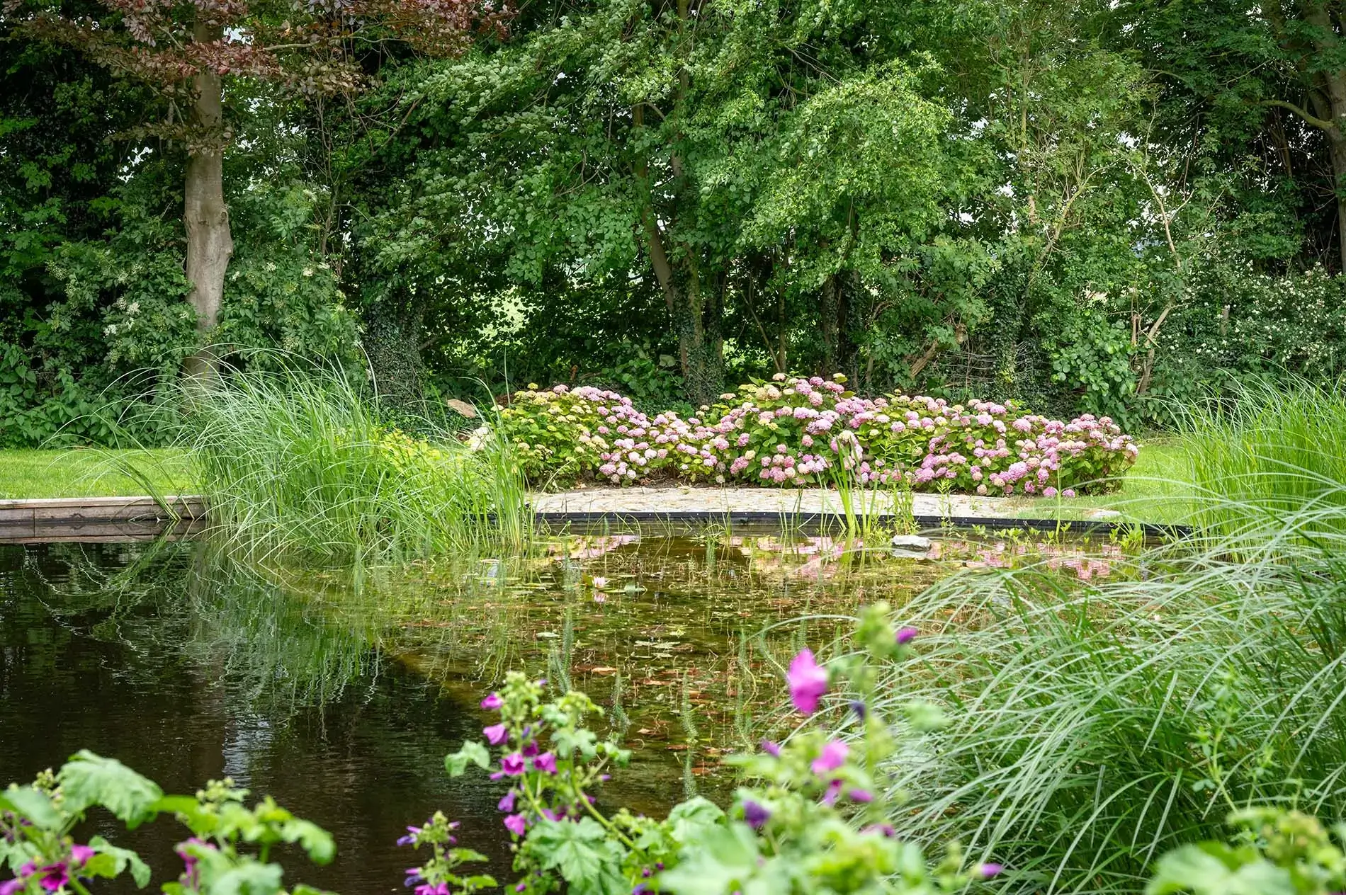 zwemvijver-gardenSwimm-zeeland-7