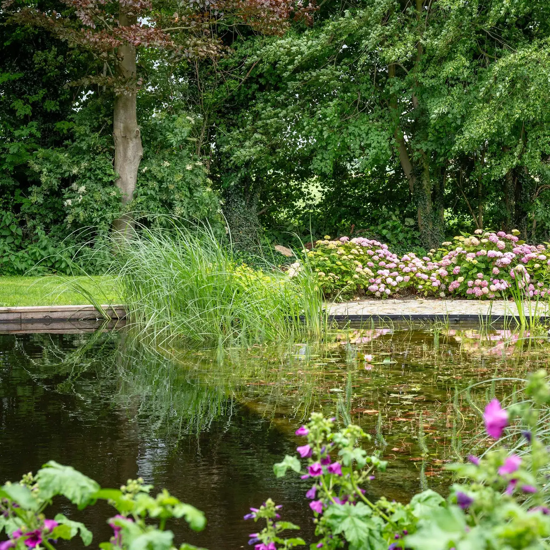zwemvijver-gardenSwimm-zeeland-8